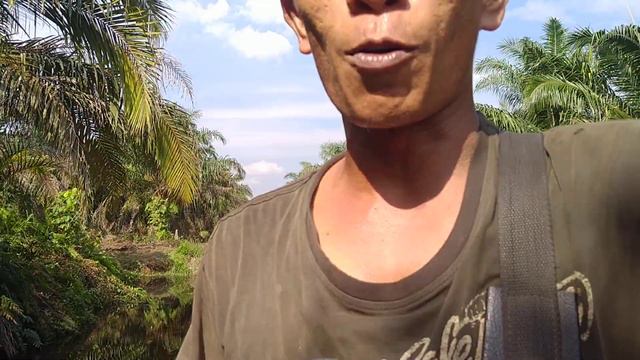 kekuatan Taft Helen di jalan gambut смотреть онлайн