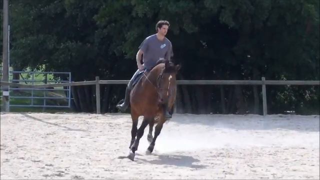 BENABAR LA TUILERIE смотреть онлайн