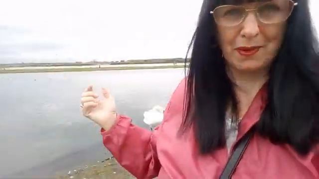 Sunday Chat💭 & Stroll🚶🐚Along the Marina + Beach🌊🐚Waterloo,Liverpool,England.29/05/22 смотреть онлайн