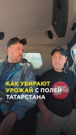 Заработал 2 машины на уборке урожая! Кто и как убирает поля Татарстана? #татарстан #хкчистополье