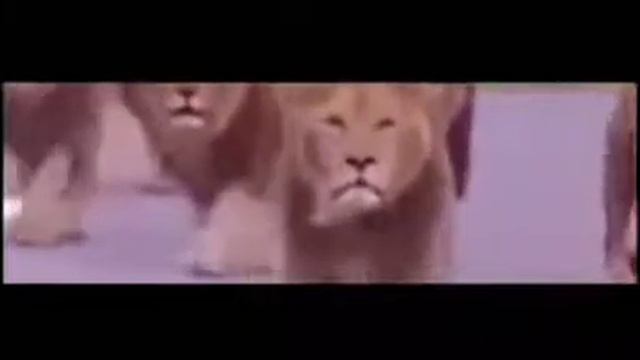 самые великие и правдивые слова! Эртугрул☝🏻★ смотреть онлайн