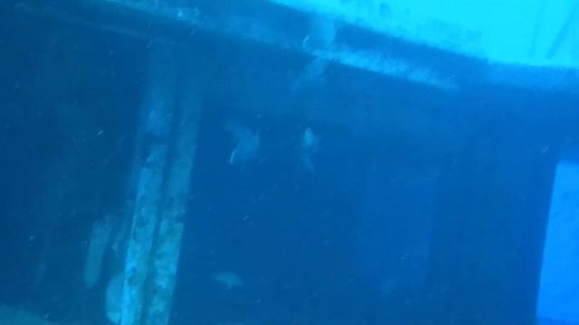 Diving the USS Vandenberg in Key West смотреть онлайн
