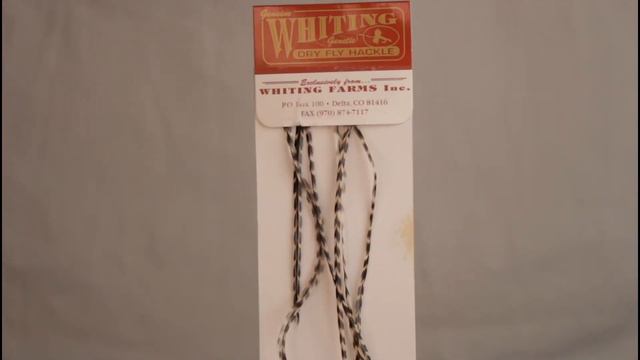 Fly Tying: Giovanni De Pace's Squid смотреть онлайн