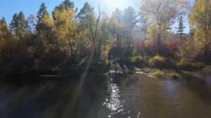 DJI AVATA 2 Дорога на Байкал