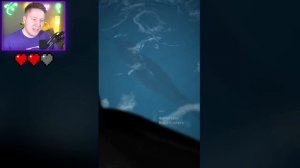 Самые СТРАШНЫЕ ТИК-ТОКИ в Мире?!