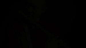 Pt. Hariprasad Chaurasia - Raga Chandrakauns (Pseudo Video)