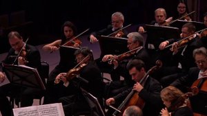 Брамс Симфония 4,3 Brahms Sinfonie 4,3  Жюльен Салемкур Julien Salemkour