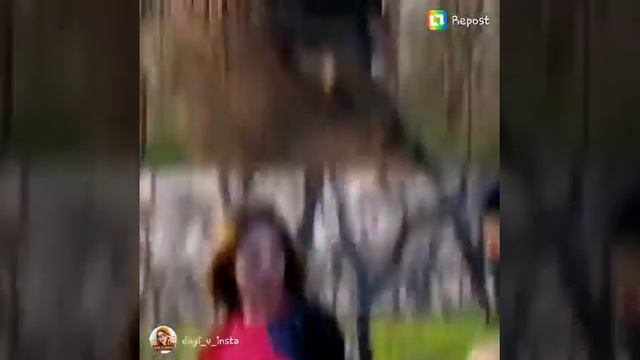 25 смотреть онлайн