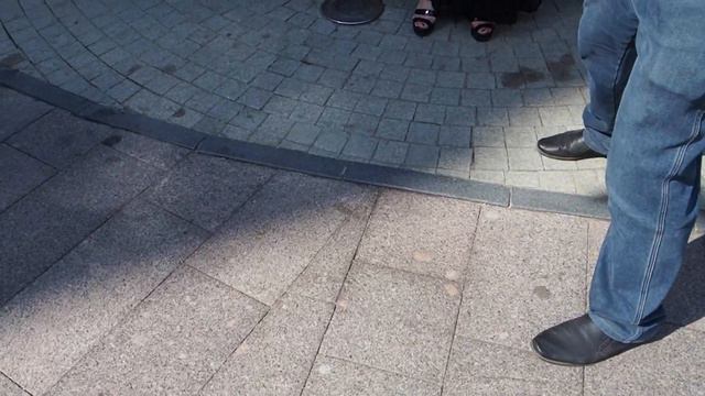 P8170575 смотреть онлайн