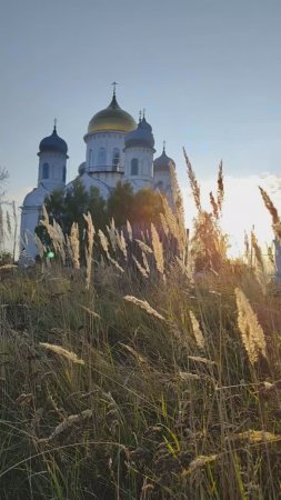 Благословенный день
