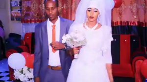 Daawo Muqaalka aroos shidan ooka dhacay bosaaso congratulations Wll abdi Ciise iyo my dumaashi reer