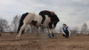 /УКЛАДКА ПОД ВЕРХОМ?! /РАБОТА НА КАПЦУНГЕ/