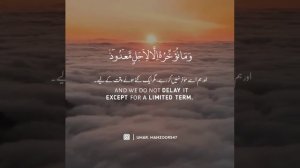 HEART TOUCHING TILAWAT | MISHARY RASHID AL AFASY | WHAT'SAPP STATUS