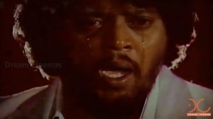 Neengal Kettavai Tamil Movie Video Songs Juke Box | Balu Mahendra | Ilayaraja | Dream Cinemas