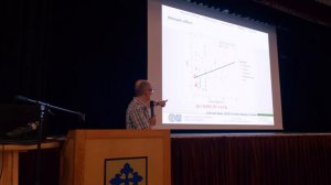 Biochar effects on plant P availability