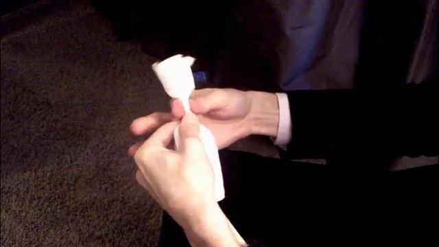 Thimon von Berlepsch - Origami Rose смотреть онлайн