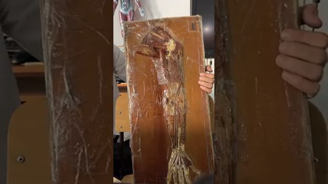 Қол бұлшықеттері смотреть онлайн