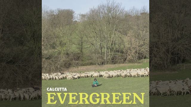 Hübner смотреть онлайн