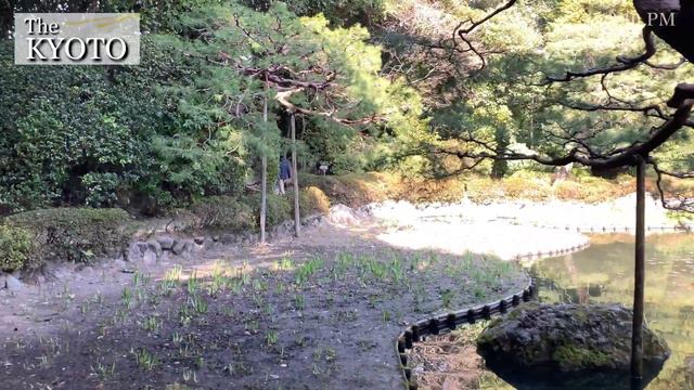 Strolling through the shrine garden of Heian Jingu in Kyoto, Japan смотреть онлайн