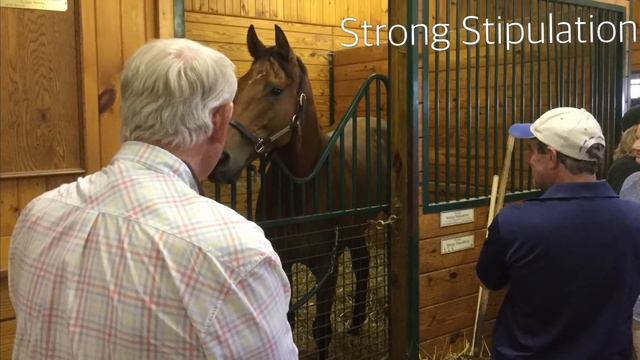 West Point Thoroughbreds - Fair Hill Weekend смотреть онлайн