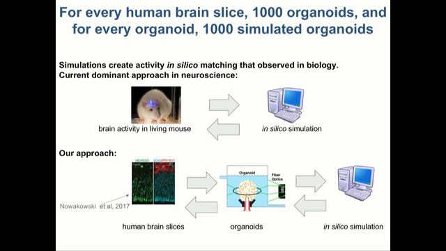 2019 Research Symposium Afternoon Keynote смотреть онлайн