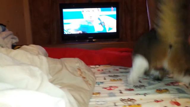 Эй толстый смотреть онлайн