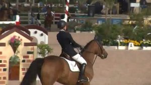 Video of TOUCAN TANGO riden by HAYLEY BARNHILL from ShowNet!