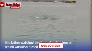 Shark attack: Moment Russian man mauled and killed by shark in Egypt