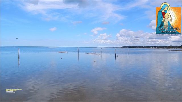 Todo es Gracia, El Señor es quién nos hace nuevos ! - P. Mario Cruz - 07.09.18 - SAMARA Saltillo смотреть онлайн