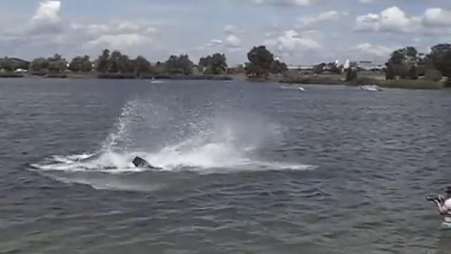 Josee's crowmobe wakeboard OB OMSZK 2009 смотреть онлайн