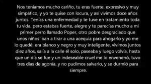 Carta a mi perro por Fina Torres