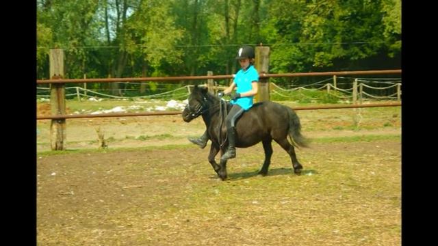 Dag 6 kamp bij tante Mo