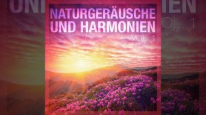 Klänge des Baldachins: Vögel