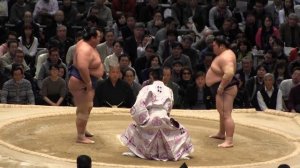 琴奨菊 vs 豪風  2015大相撲三月場所8日目 Kotoshogiku vs Takekaze SUMO