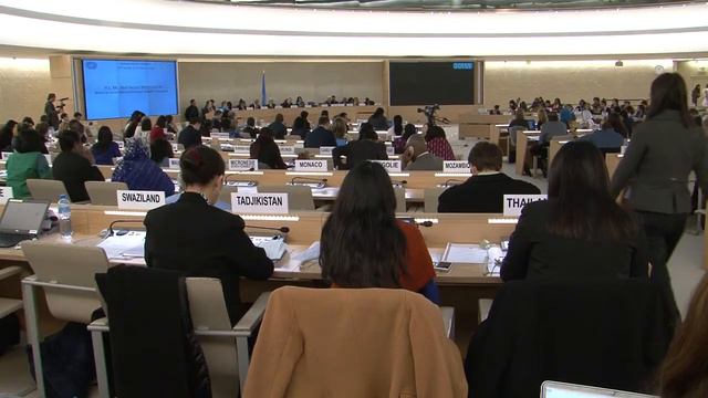 Human Rights Council SIDS/LDCs Trust Fund Beneficiaries attend #HRC28 смотреть онлайн