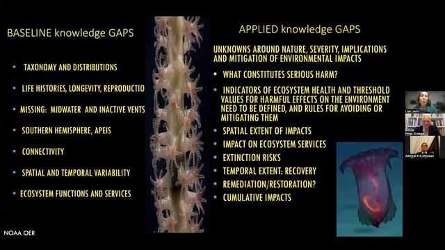 Global Maritime Academy Part 3 смотреть онлайн