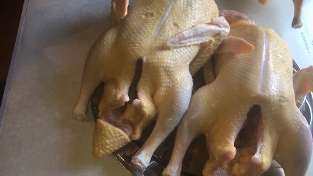 Ошипывание Индоуток мускусов .  шипунов 