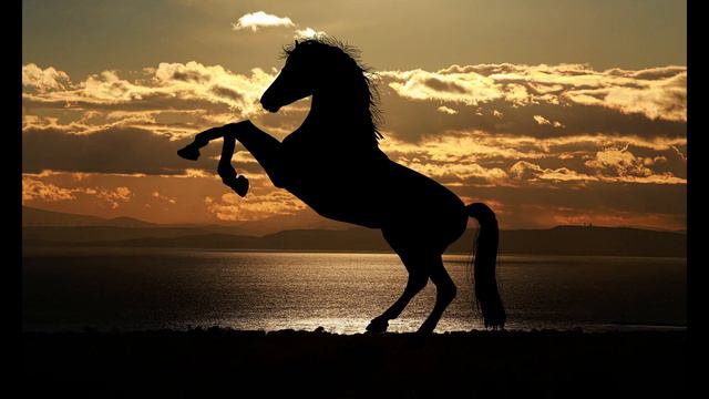 02 Koń darowany - Daniel Olbrychski