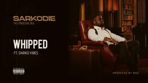 Sarkodie - Whipped (feat. DarkoVibes) [Audio slide]