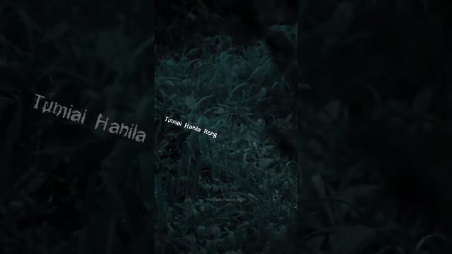 Mood ❤️ New Assamese foli song status video ❣️ New Assamese Treanding status video смотреть онлайн