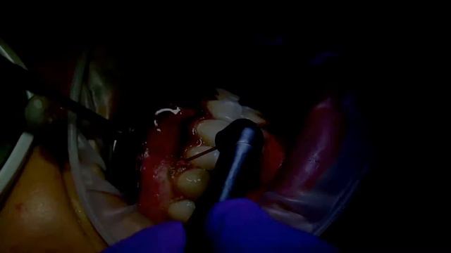 Vita Dentist - Ganzheitlicher Zahnarzt Hamburg смотреть онлайн