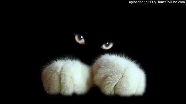 Anesthesiologist-Dark Blood (Noseda Remix) смотреть онлайн