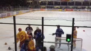 Straubing Tigers VS Düsseldorf Fight 1