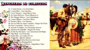 RANCHERAS DE COLECCION MIX 20 JOYAS MUSICALES  INOLVIDABLES CUCO SANCHEZ DUETO MONTERREY GOLONDRINA