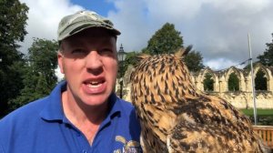 Owl Diary 22 | What is Olly the owl's problem? | Our falcon is flying free again and more!