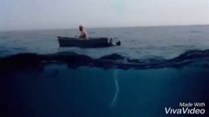 Ненси аджрам