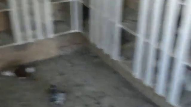 serhans doneks смотреть онлайн