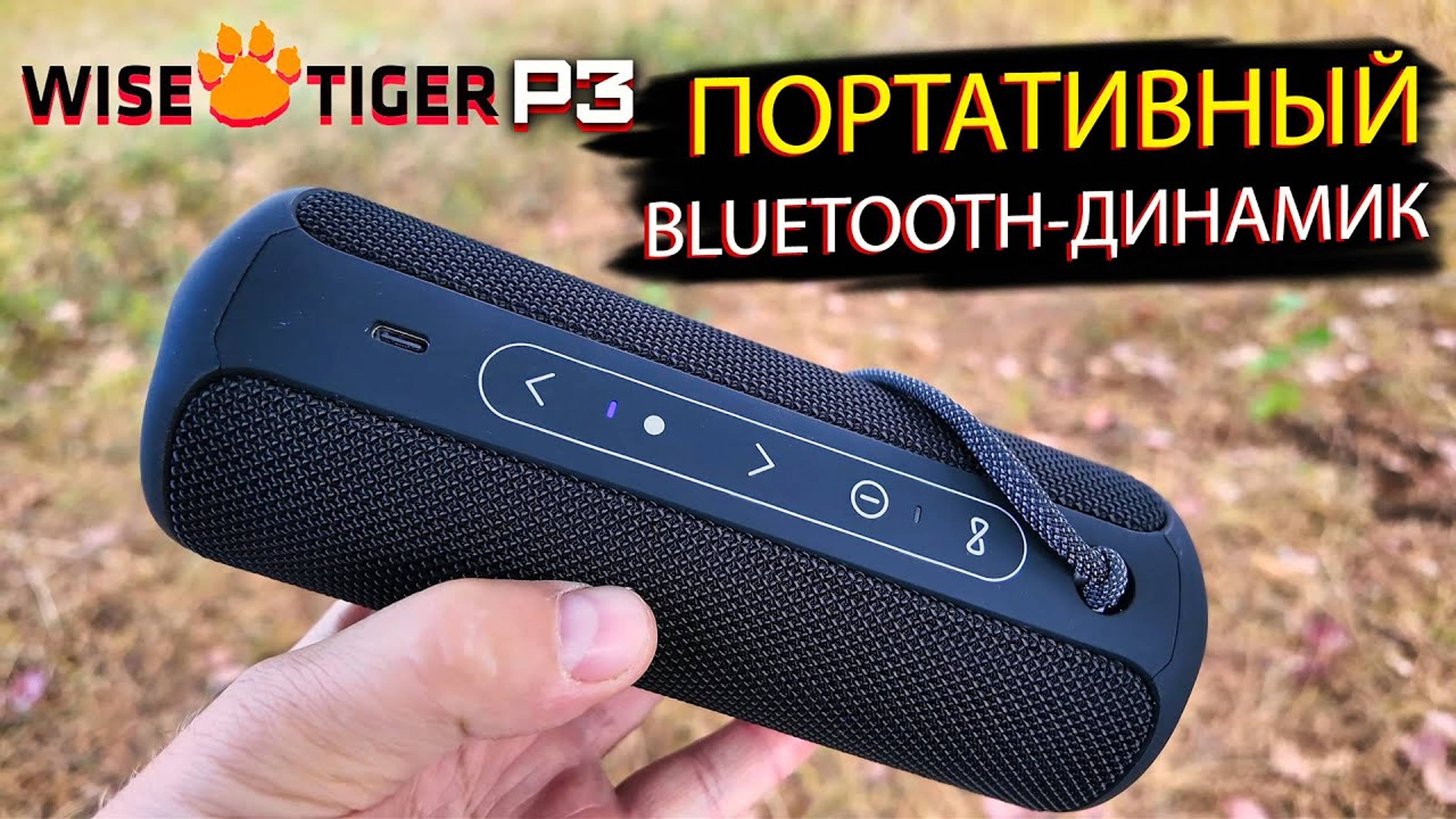 WISETIGER P3: Обзор мощного портативного Bluetooth-динамика для музыки на ходу!