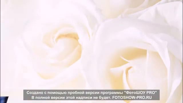 POLINA Rahimova..... ////// смотреть онлайн