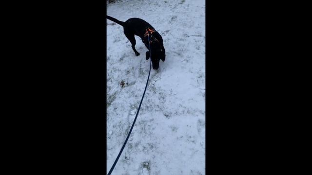 vlogg #2 смотреть онлайн